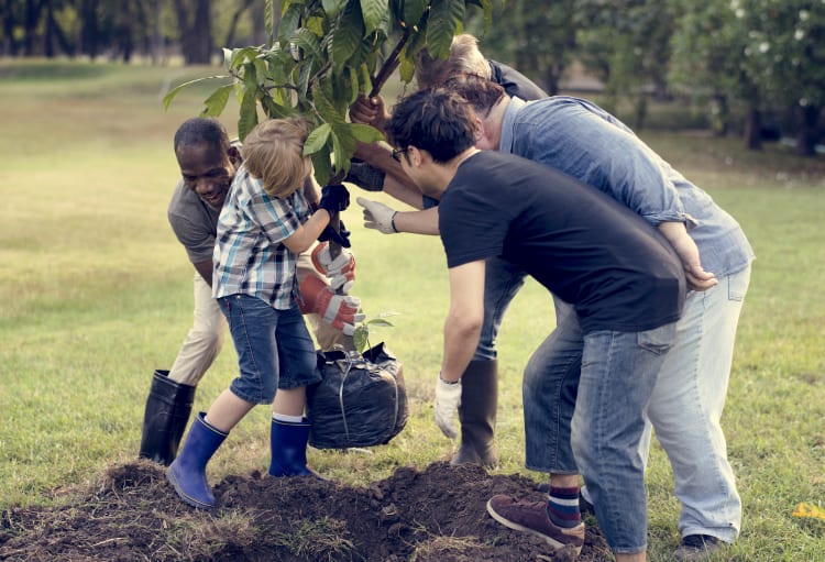 Explore How Perry Homes Gives Back to the Community